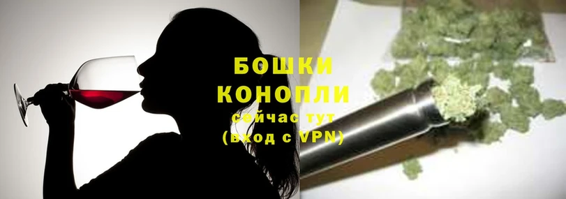 Канабис Amnesia  это наркотические препараты  Новокубанск  как найти закладки 